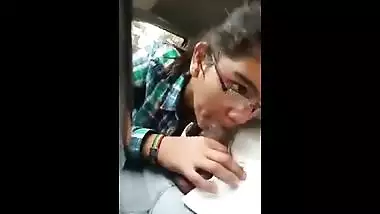 Aravani Animals Sex Video - Punjabi Teen Girl Giving A Hot Car Blowjob free sex video