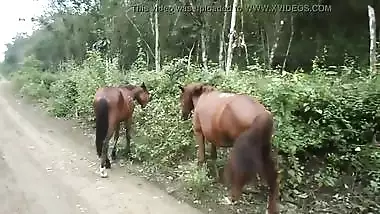 Desi Girl And Horse Xxx Video Indian - Xxx Female Stops By Horses To Touch Desi Animals And Pee In Sex Video free  sex video