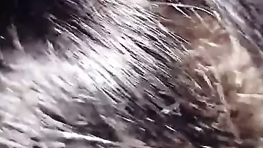 Reverse sex ride of horny wife after blowjob to hubby